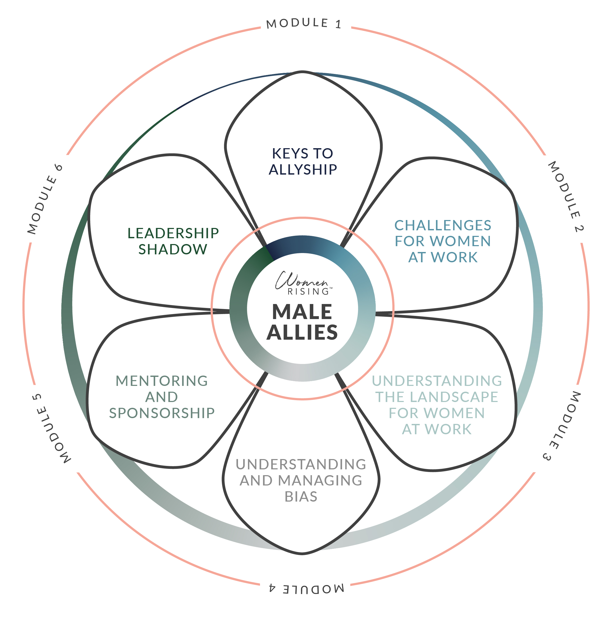 Male Allies Journey